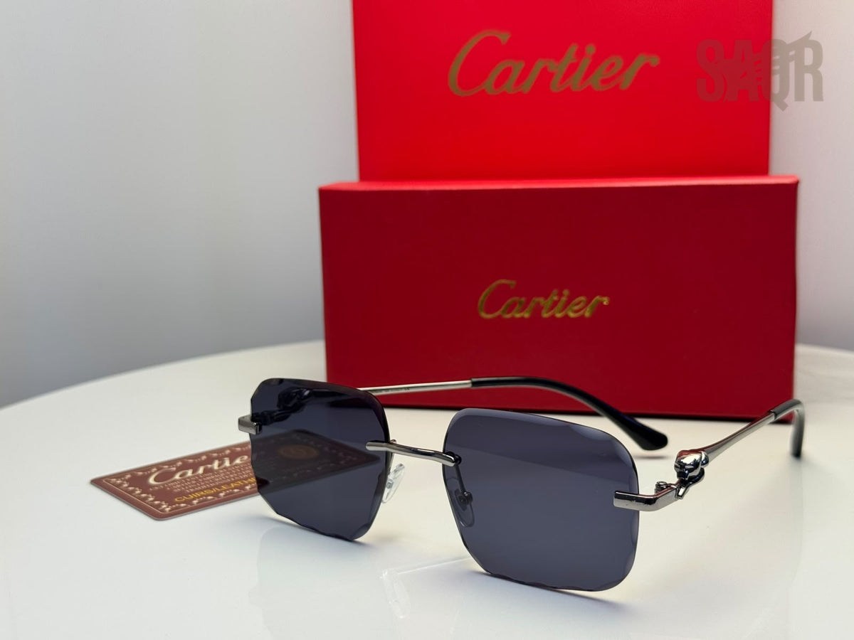 Cartier Sunglasses Pasha de Cartier CT0403S – Dark Lenses - View 3