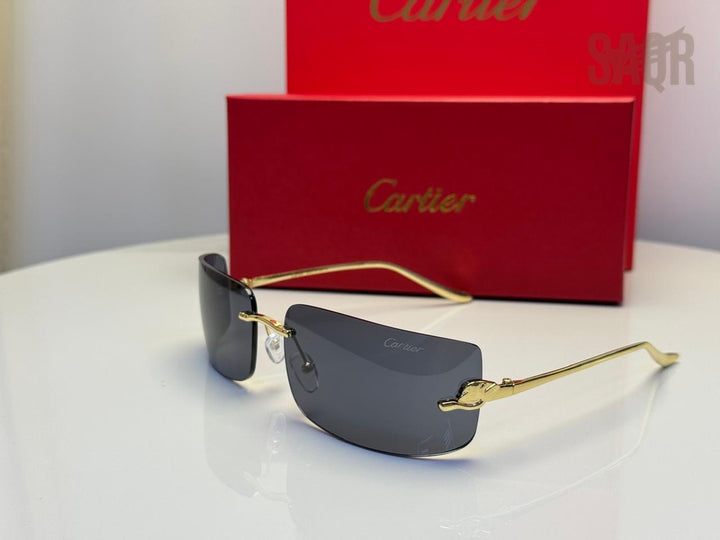 Cartier CT0462S (Silver/Gradient Brown)