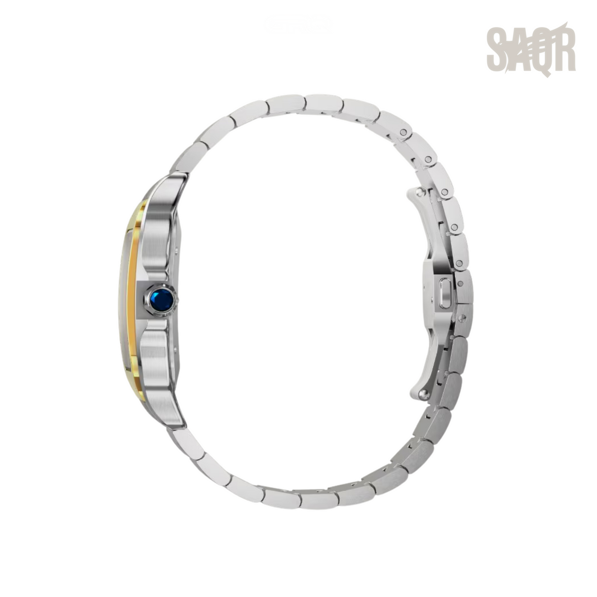 Cartier Watch | Santos de Two-Tone Golden