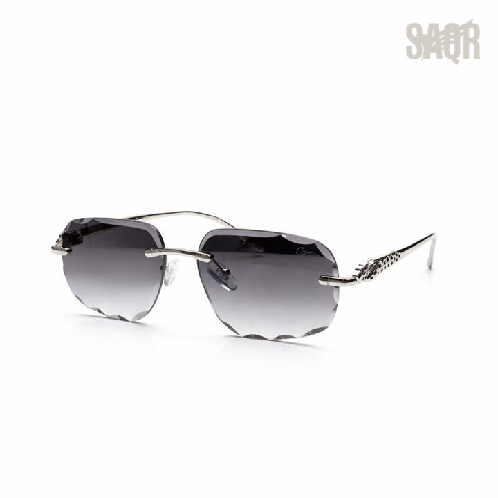 Cartier Glasses | Elegant Gradient