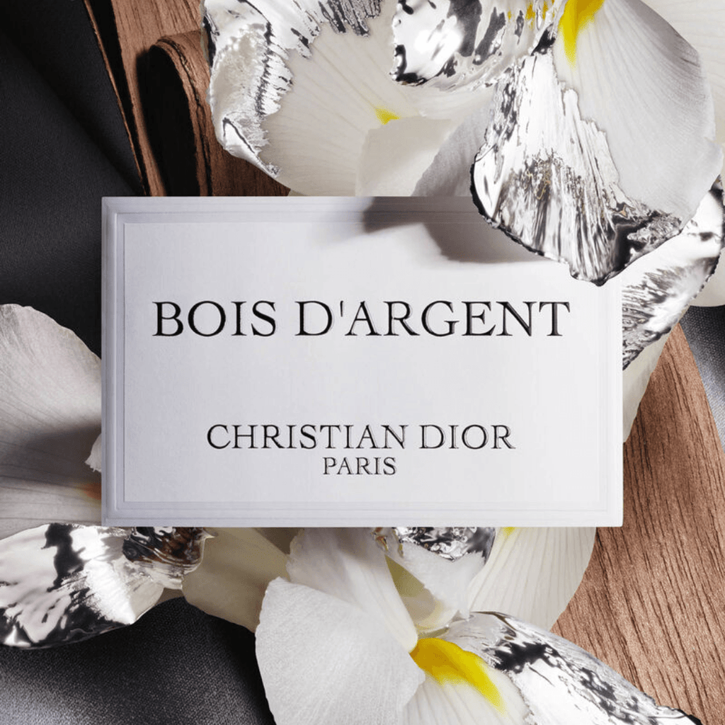 Dior Bag | Bois D'argent Christian Paris