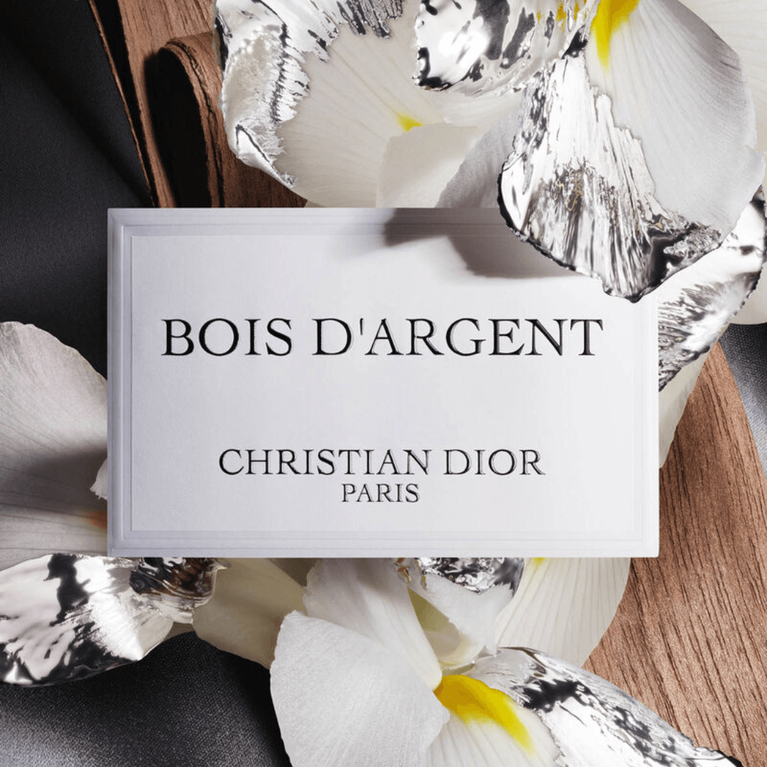 Dior Bag | Bois D'argent Christian Paris