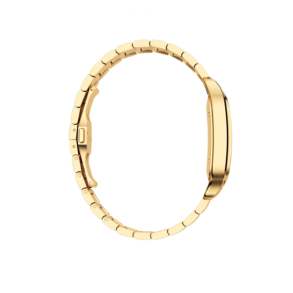 Cartier Watch | Santos de Cartier Golden Steel Blue Dial