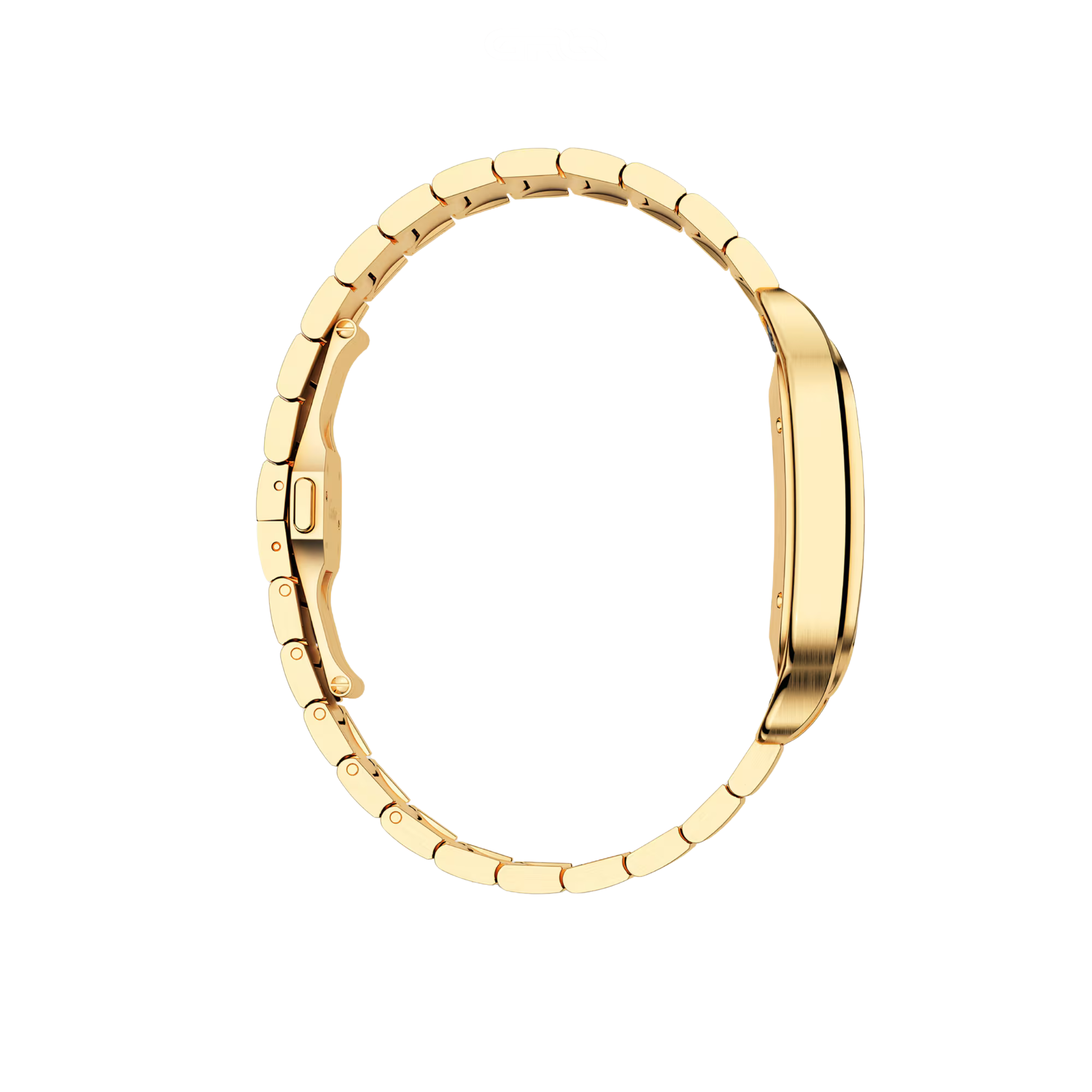 Cartier Watch | Santos de Cartier Golden Steel Blue Dial
