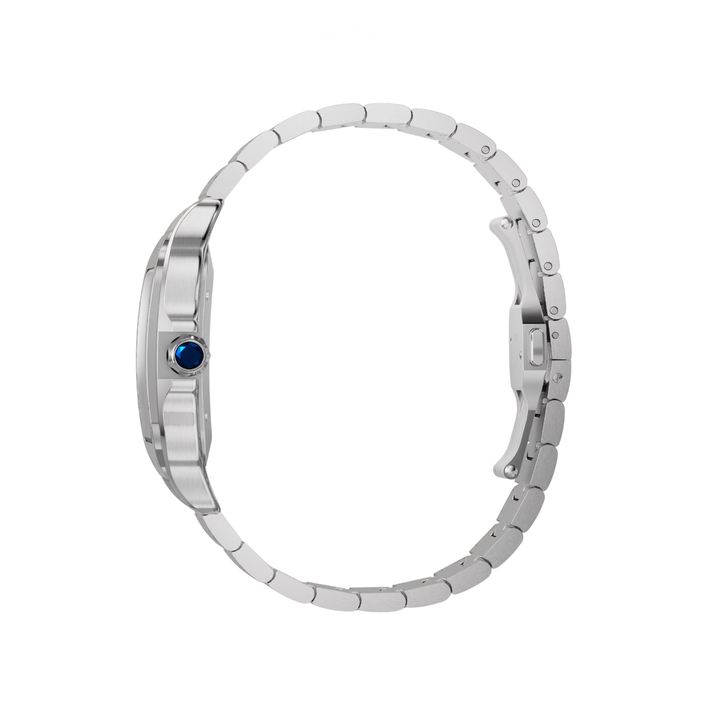 Cartier Watch | Santos de Cartier Steel Blue Dial