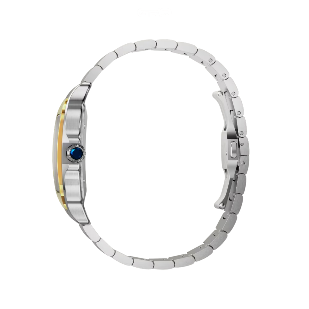Cartier Watch | Santos de Cartier Two-Tone Blue Dial Large