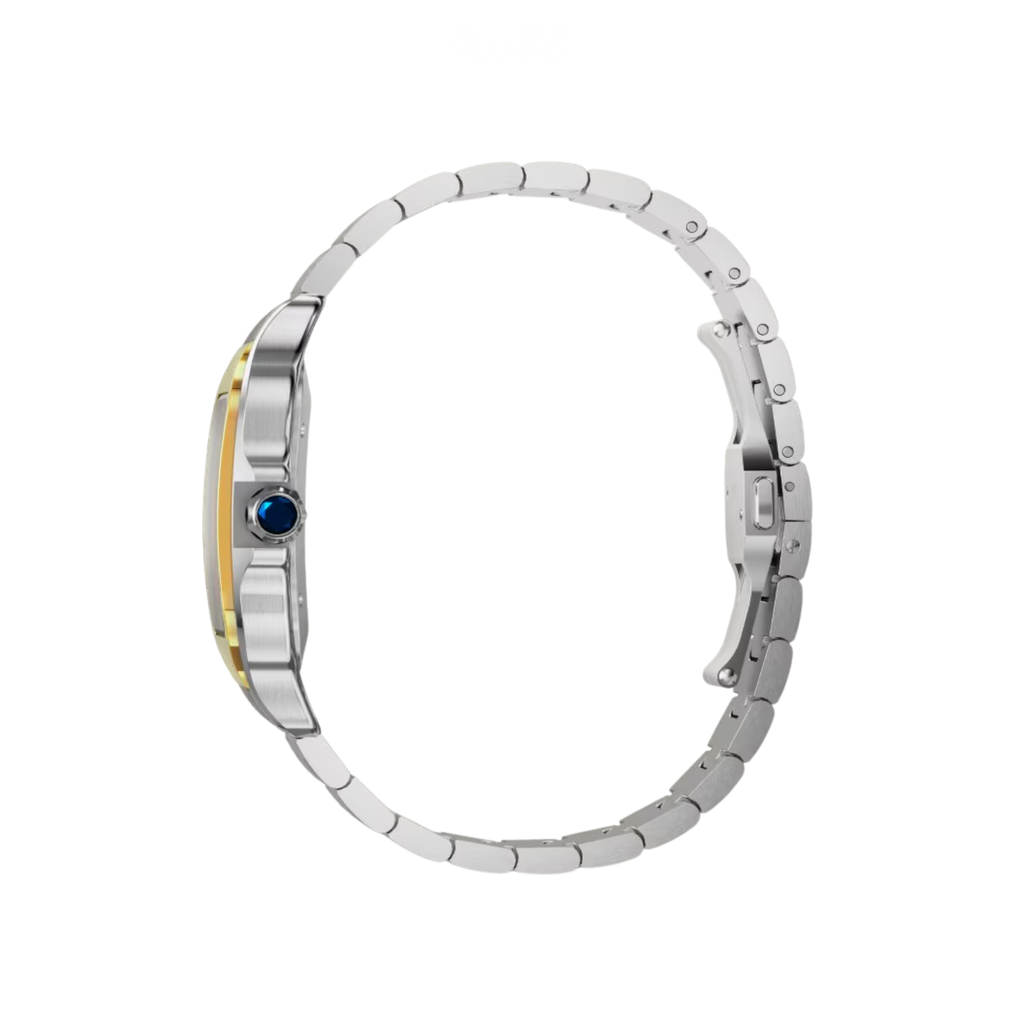 Cartier Watch | Santos de Cartier Two-Tone Large Golden