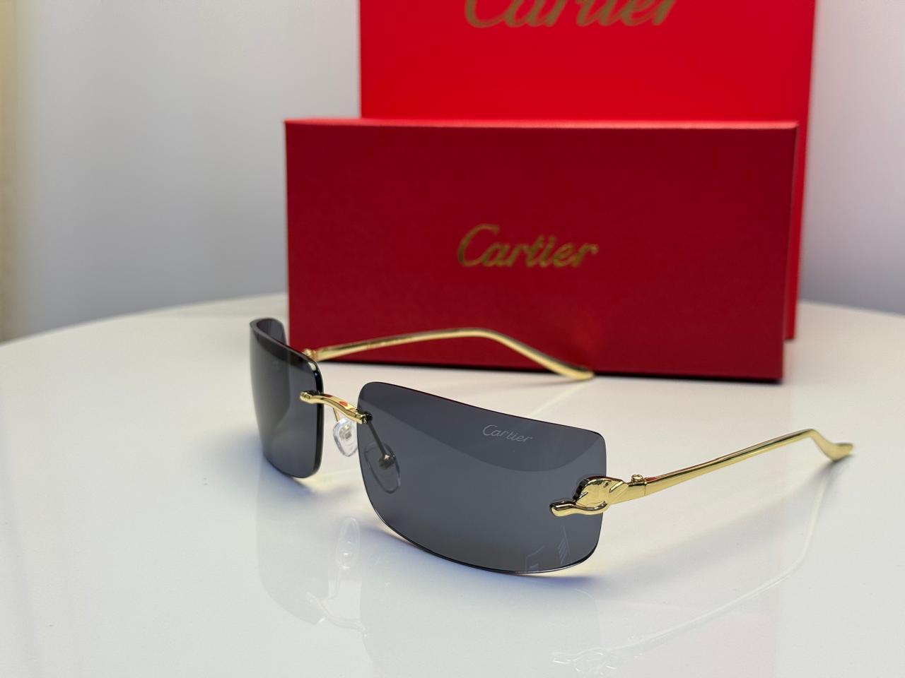 Cartier CT0462S (Silver/Gradient Brown)