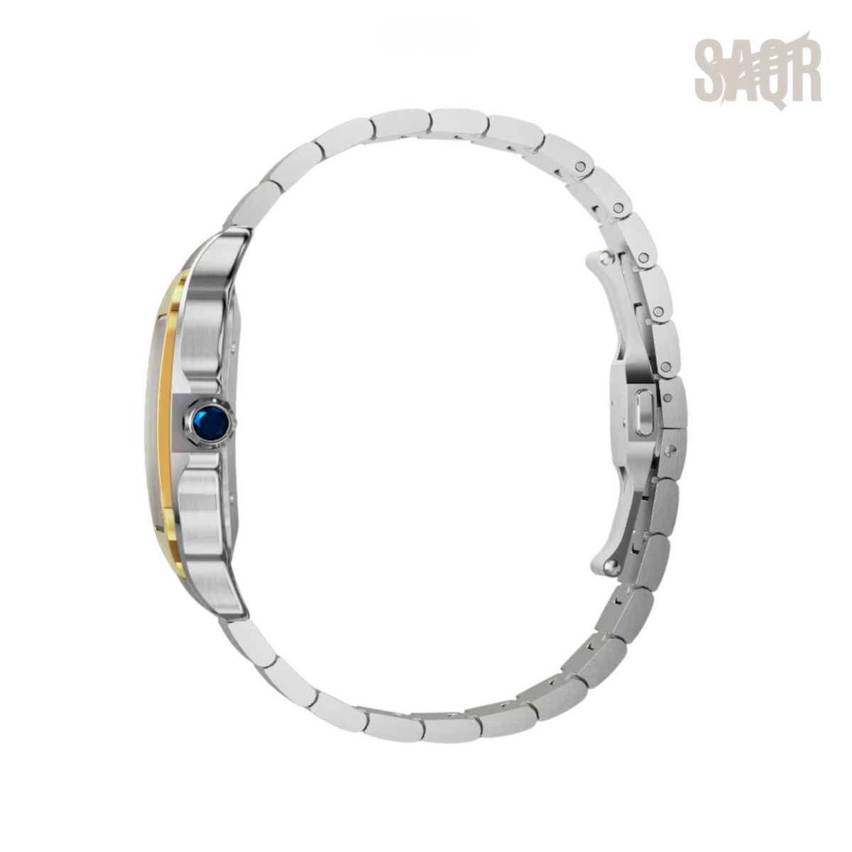 Cartier Watch | Santos de Two-Tone Blue Dial