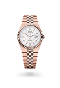 Rolex | Land-Dweller - Free & Fast UAE Shipping